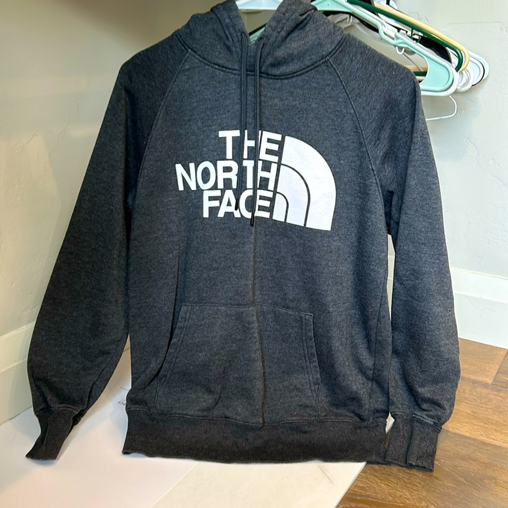 the north face regular hoodie